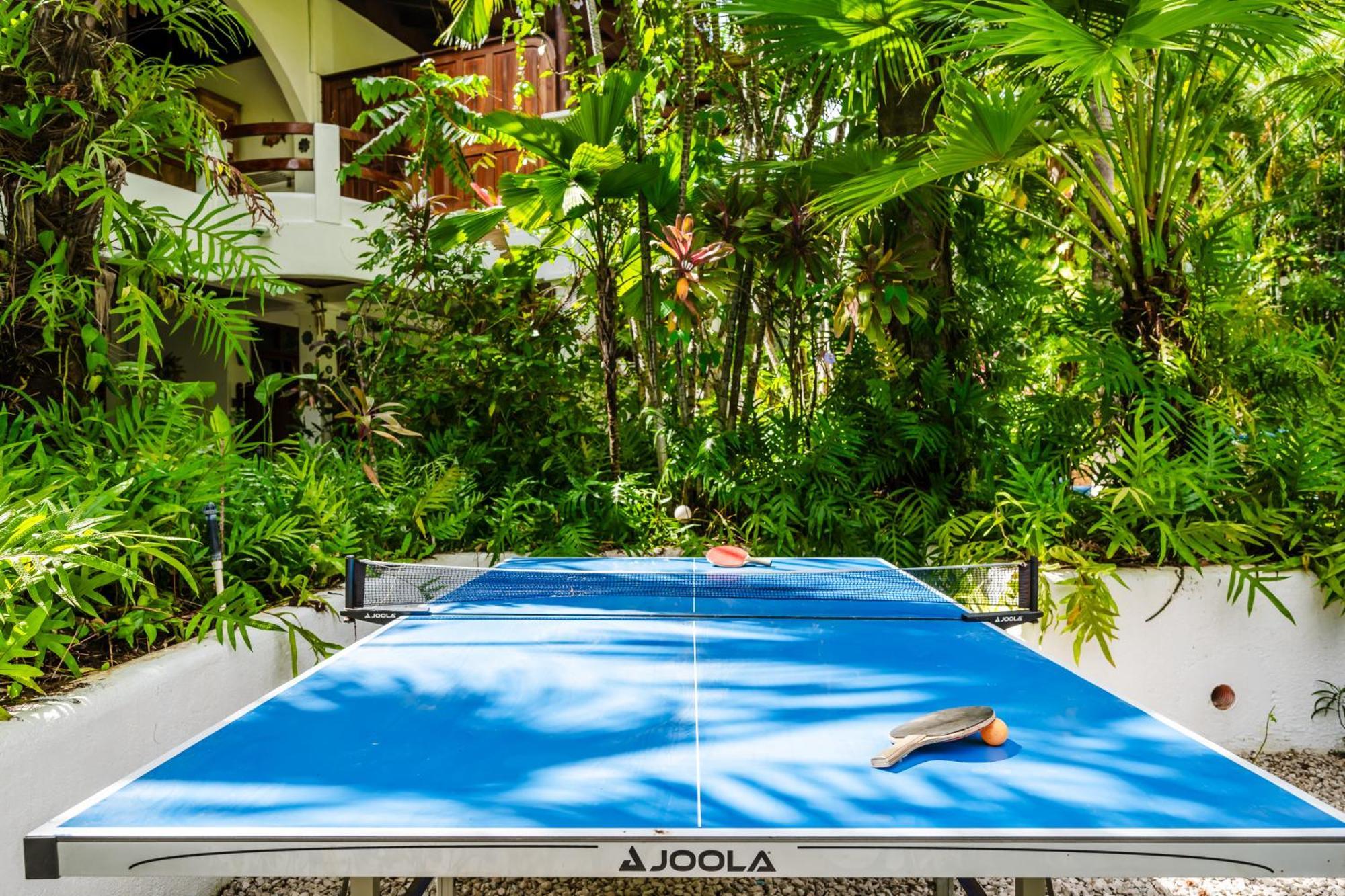 Casa Sueca - At The Tamarindo